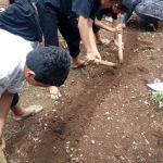 Kegiatan Berkebun Peserta Didik SMPIT Anugerah Insani