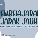 Pembelajaran Online Sistem Gerak pada Manusia - SMPIT Anugerah Insani